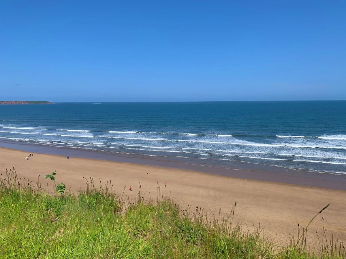 The Blue Anchor At The Bay Filey, Sleeps 4, 2 Dogs Welcome For Free Too Exterior photo